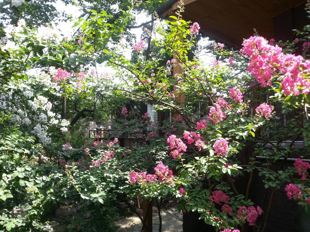 Jiwoljang Guesthouse Seul Exterior foto