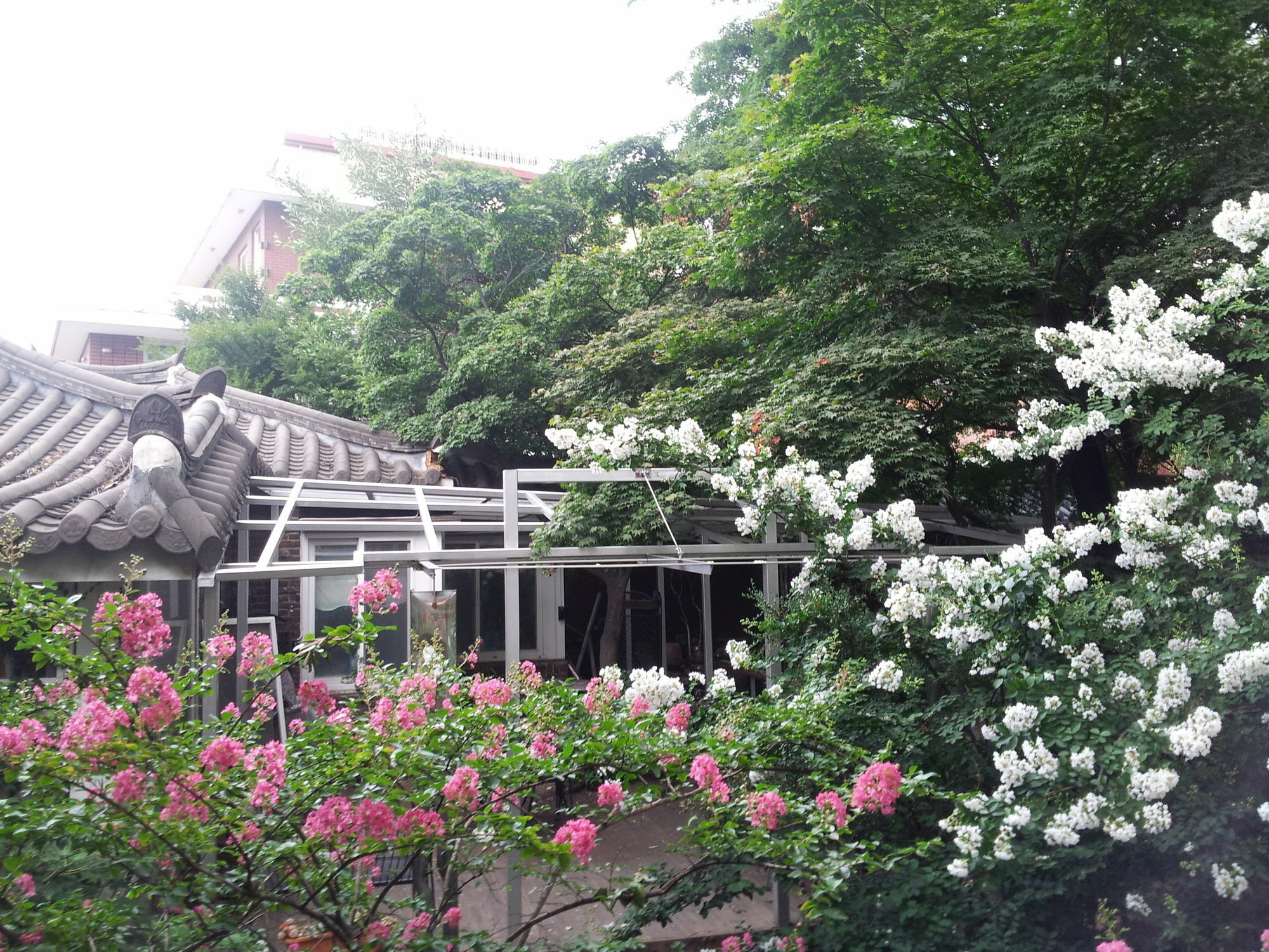 Jiwoljang Guesthouse Seul Exterior foto